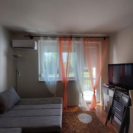 פוניארצוושהג' Dorka Apartman מראה חיצוני תמונה